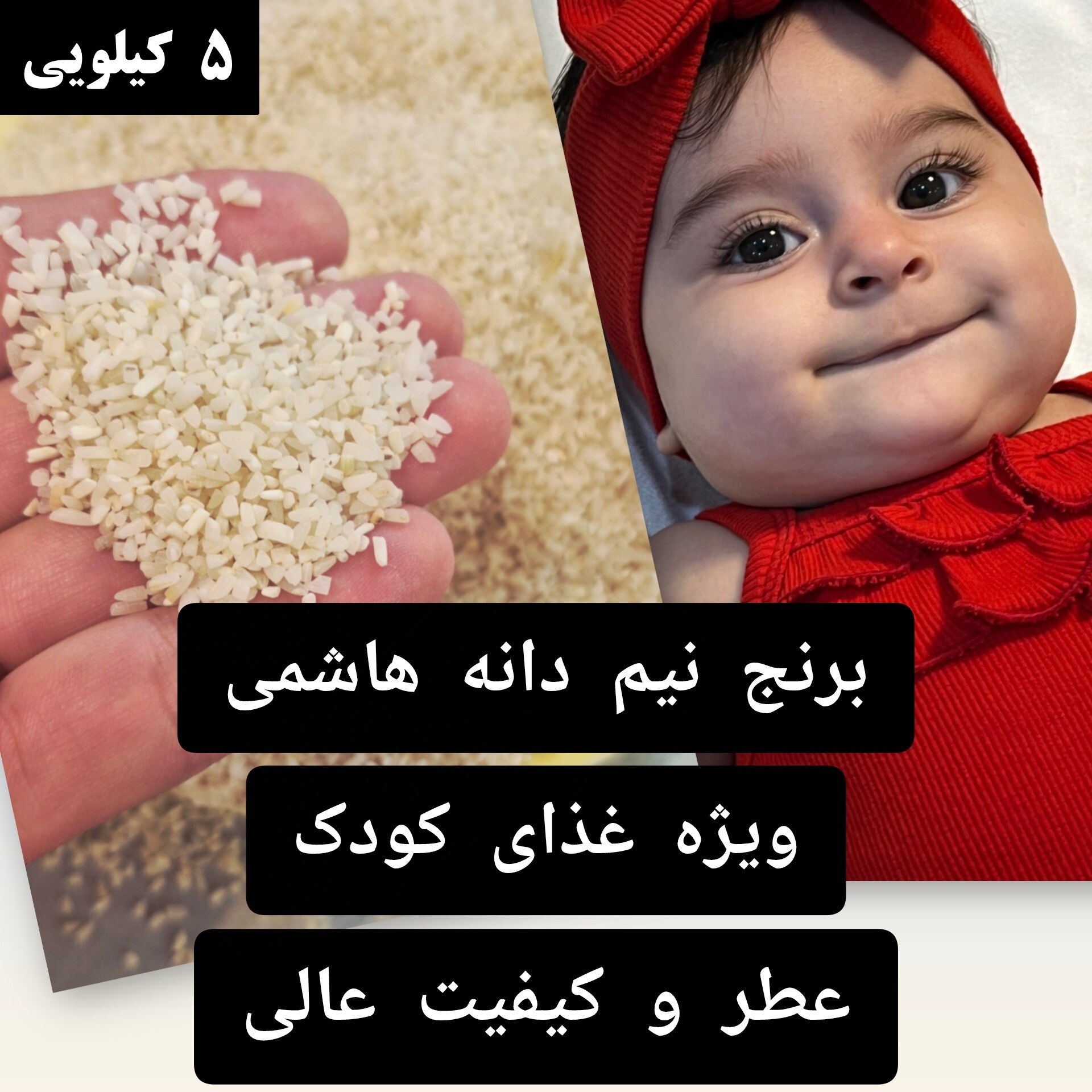 ed19W0uAsAakUViziPZLnOsrxuemxqM32KxRvteqgBwdv9HEnz-8 برنج نیم دانه هاشمی درجه یک ممتاز (5 کیلویی) + تضمین کیفیت - Image 1