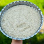 برنج طارم هاشمی اعلا آمل (عمده) سورت شده + تضمین کیفیت